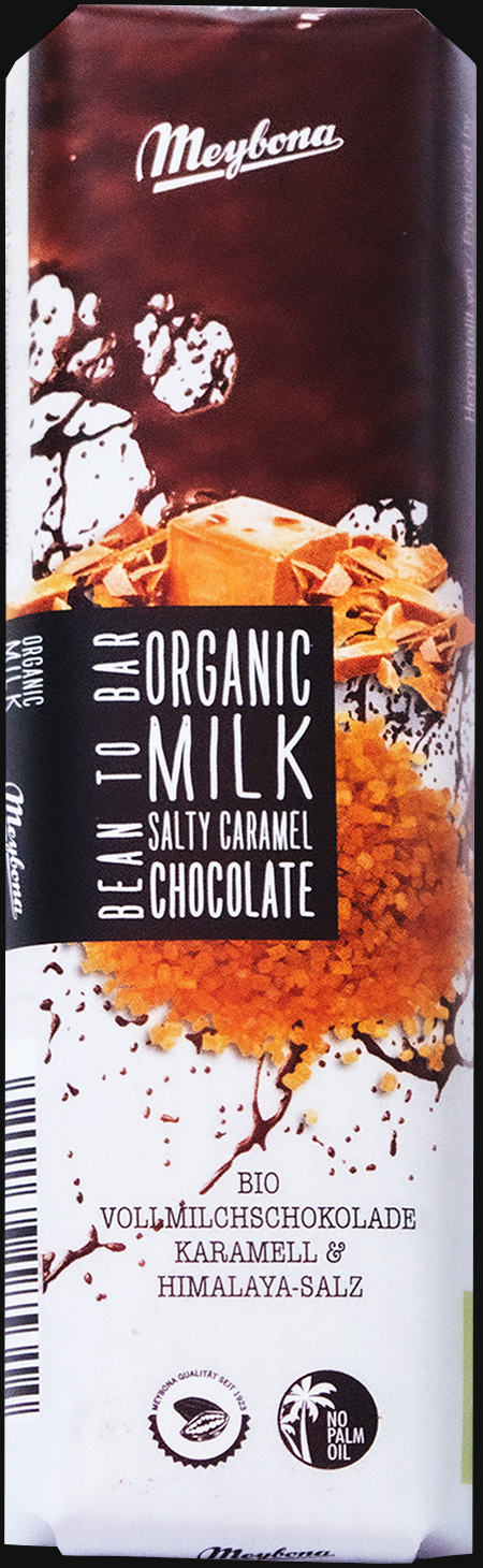 BIO Schokolade Riegel 35g